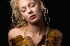 Susan-Kipp-Pedersen-Focus-Autumn-Leaves-2