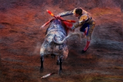 Torero