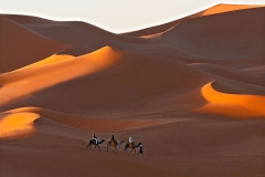 Sunrise over the desert