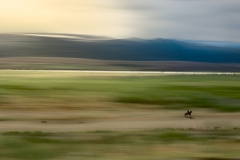 Afternoon. Iceland