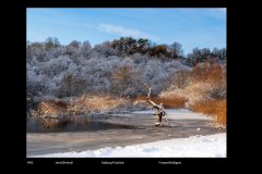 FarveDigital_28