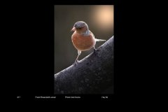 FarveDigital_32