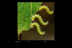 FarveDigital_45