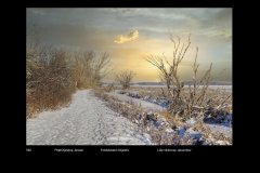 FarveDigital_48