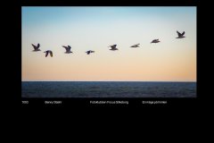 FarvePrint_20