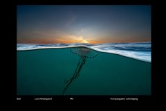FarvePrint_28