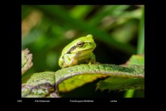 FarvePrint_31