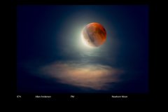 FarvePrint_35