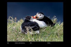 FarvePrint_39