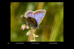 FarvePrint_4