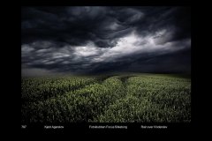 FarvePrint_40