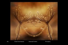 FarvePrint_41