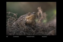 FarvePrint_45