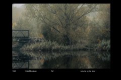 FarvePrint_5