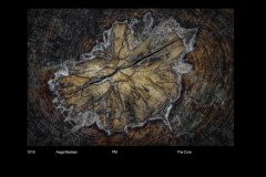 FarvePrint_50
