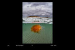 FarvePrint_52