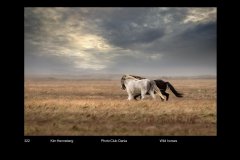 FarvePrint_53