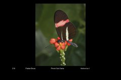 FarvePrint_62