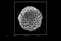 MonoDigital_18