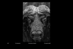MonoDigital_20
