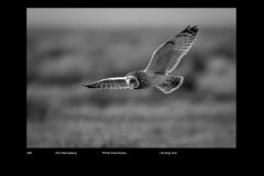 MonoDigital_29