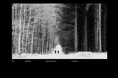 MonoDigital_30
