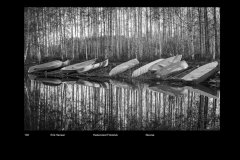 MonoDigital_61