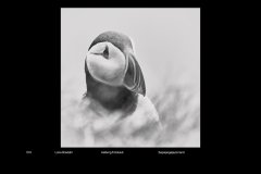MonoDigital_67