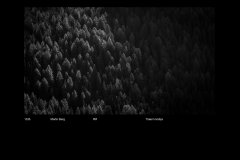 MonoDigital_70