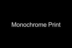 2026 MONOKROM PRINT